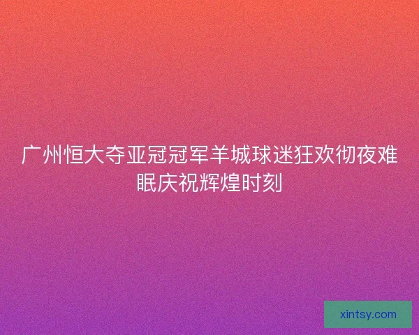 广州恒大夺亚冠冠军羊城球迷狂欢彻夜难眠庆祝辉煌时刻