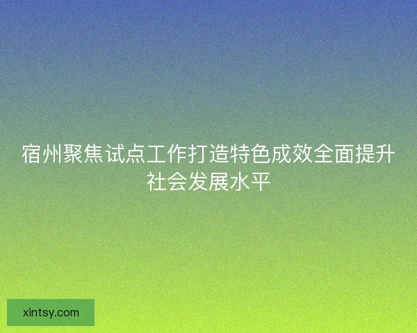 宿州聚焦试点工作打造特色成效全面提升社会发展水平